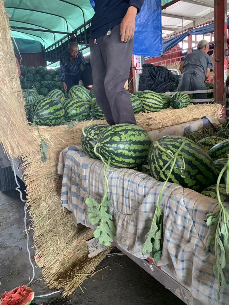 新疆西瓜吐鲁番甜王西瓜按需求分拣打包视频看货实地看货头茬