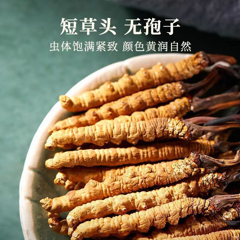 西藏那曲精品冬虫夏草高档礼盒春节送礼礼品名贵滋补品礼品