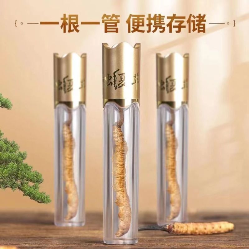 西藏那曲精品冬虫夏草高档礼盒春节送礼礼品名贵滋补品礼品