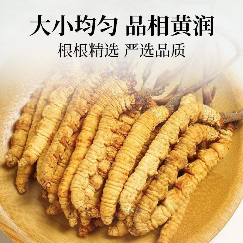 西藏那曲精品冬虫夏草高档礼盒春节送礼礼品名贵滋补品礼品