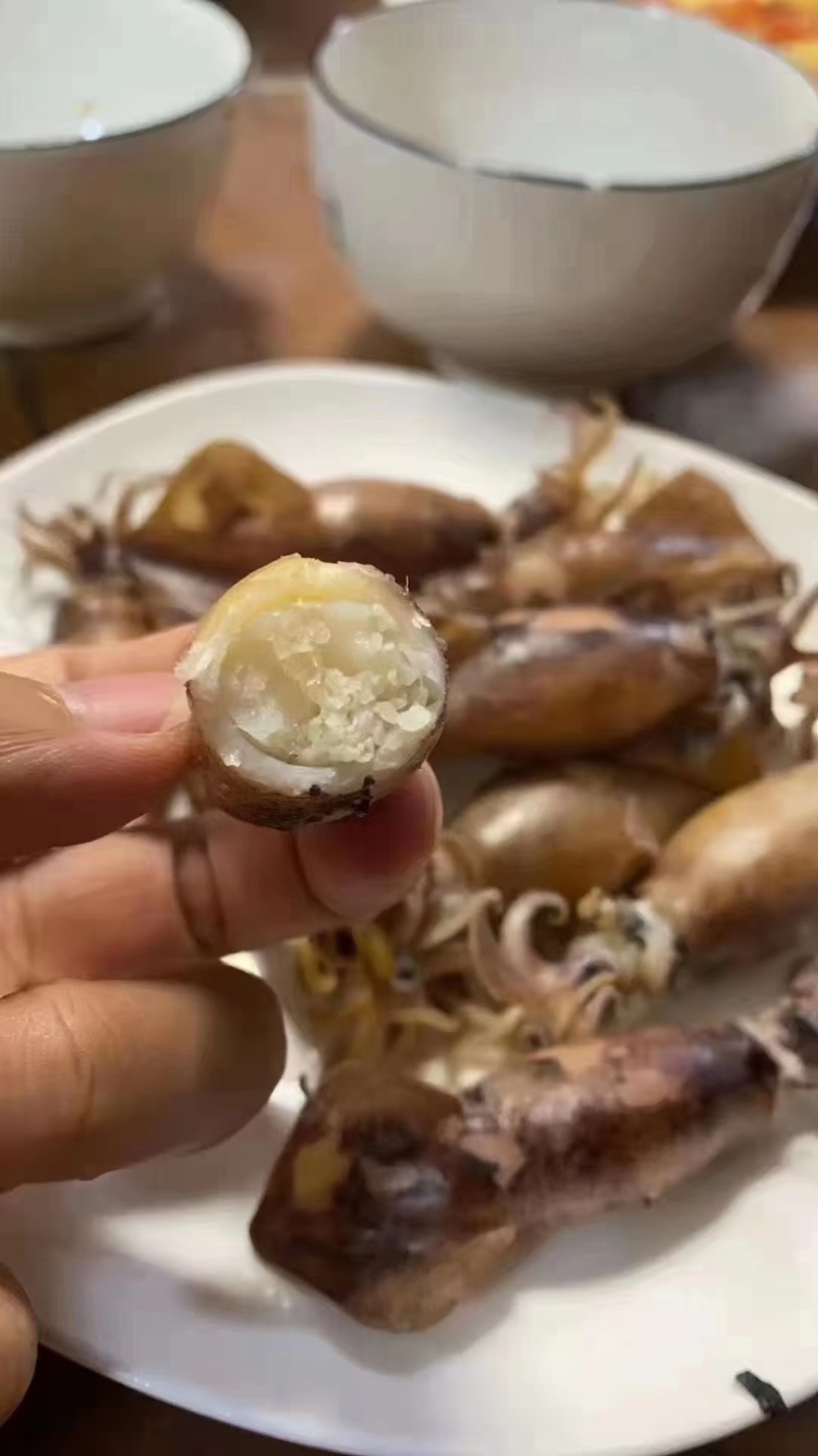 海兔鱿鱼，膏鱿，全带籽，品质保证、适合各大商超，社区团购