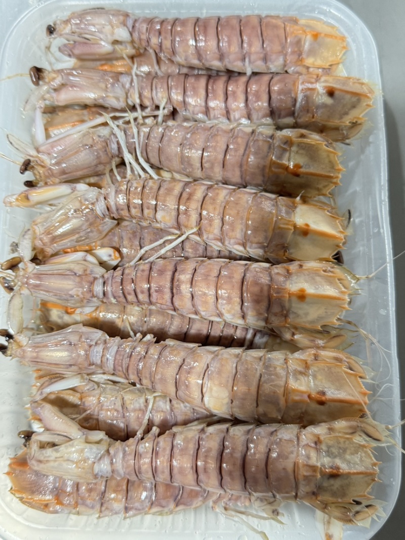 皮皮虾，活煮索鲜，爬爬虾，濑尿虾，肉质肥美，适合各大餐