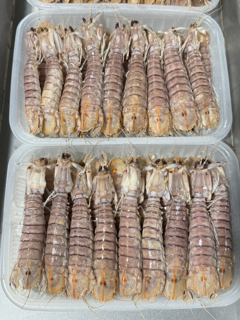 皮皮虾，活煮索鲜，爬爬虾，濑尿虾，肉质肥美，适合各大餐