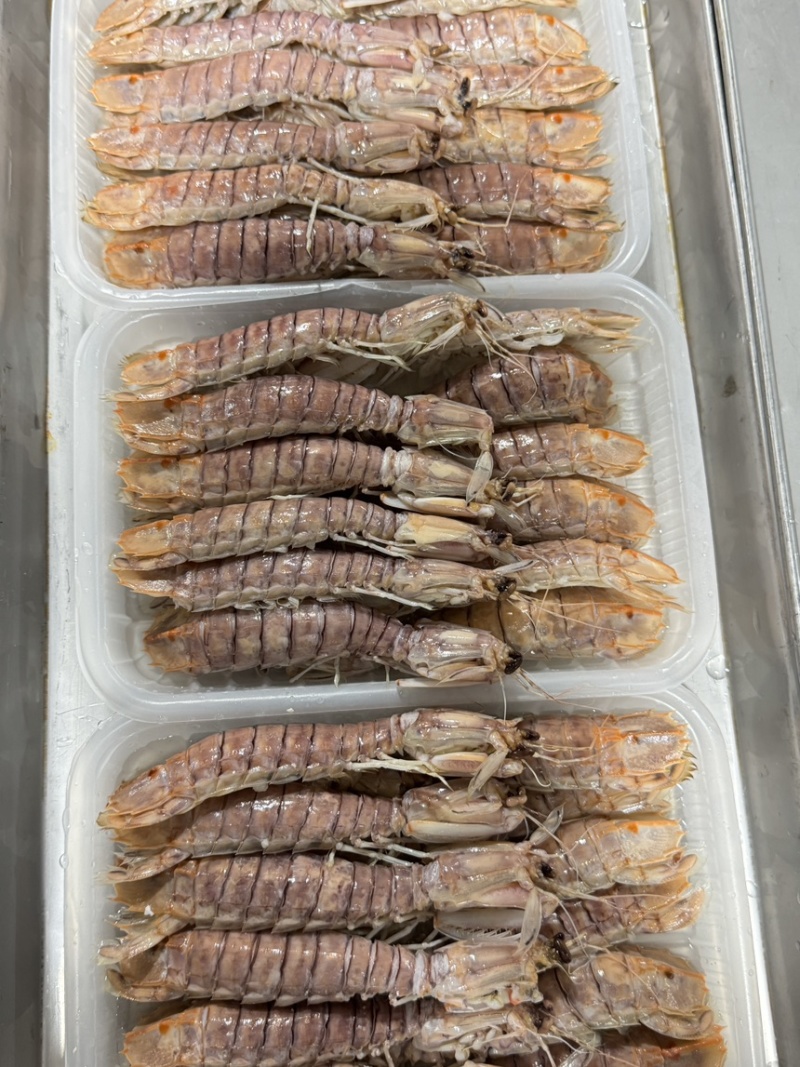 皮皮虾，活煮索鲜，爬爬虾，濑尿虾，肉质肥美，适合各大餐