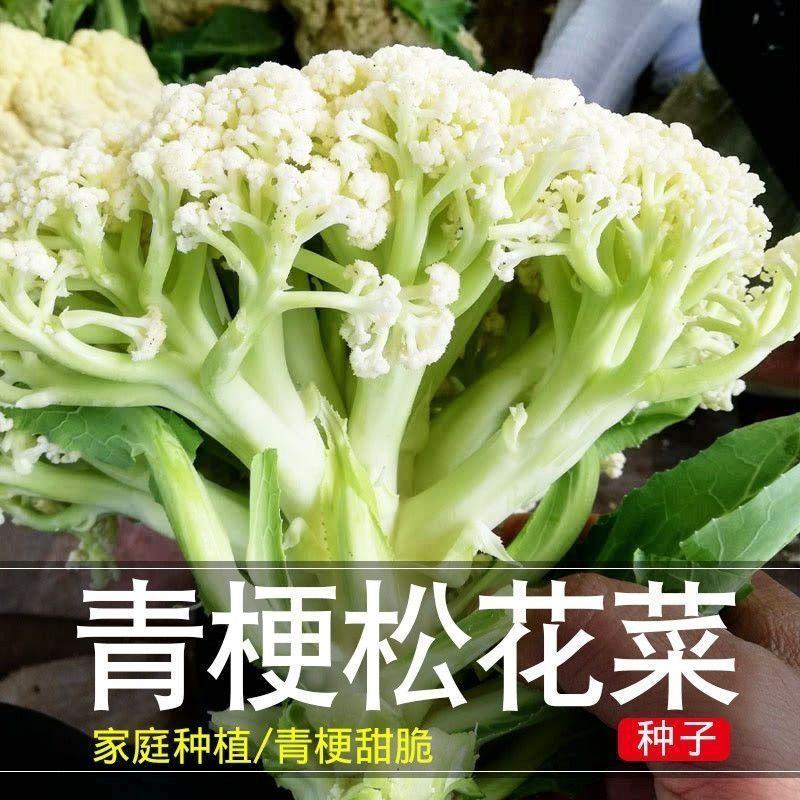 菜花大量有货，对接全国市场电商平台欢迎新老客户前来合作