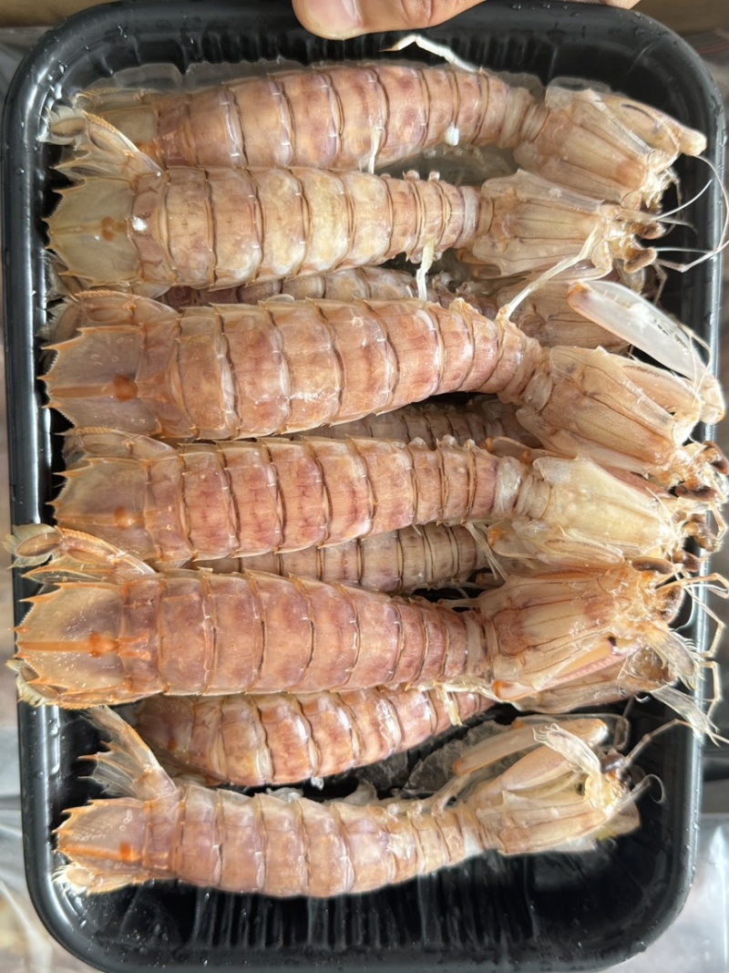 皮皮虾活煮索鲜肉质饱满，适合各大餐饮，社区团购