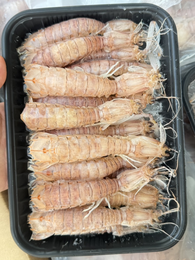 皮皮虾活煮索鲜肉质饱满，适合各大餐饮，社区团购