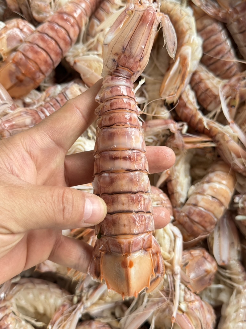 皮皮虾活煮索鲜肉质饱满，适合各大餐饮，社区团购