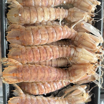 皮皮虾活煮索鲜肉质饱满，适合各大餐饮，社区团购