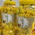 金花茶一级精品正宗金花茶叶养生一手货源厂家批发