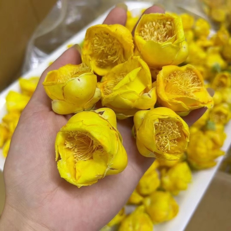 金花茶一级精品正宗金花茶叶养生一手货源厂家批发