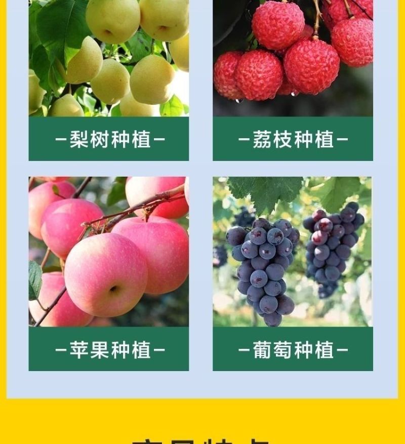 果树专用促控剂PBO控梢控旺控叶促花膨果着色保花保果叶面