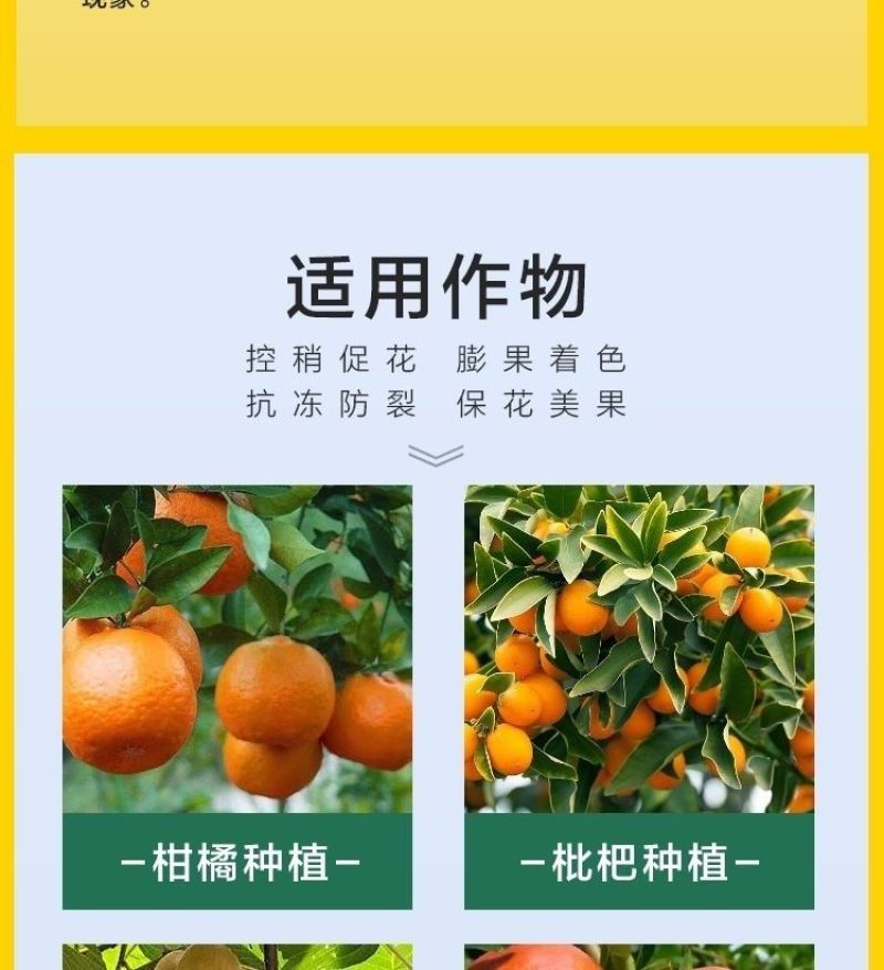 果树专用促控剂PBO控梢控旺控叶促花膨果着色保花保果叶面