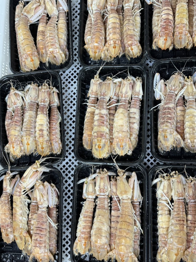 皮皮虾活煮5/7规格，个头大肉质饱满鲜美，适合各大餐饮