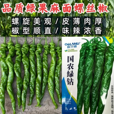 全螺麻面螺丝椒种子欧兰德特大薄皮肉厚顺直陇椒螺丝辣椒种子