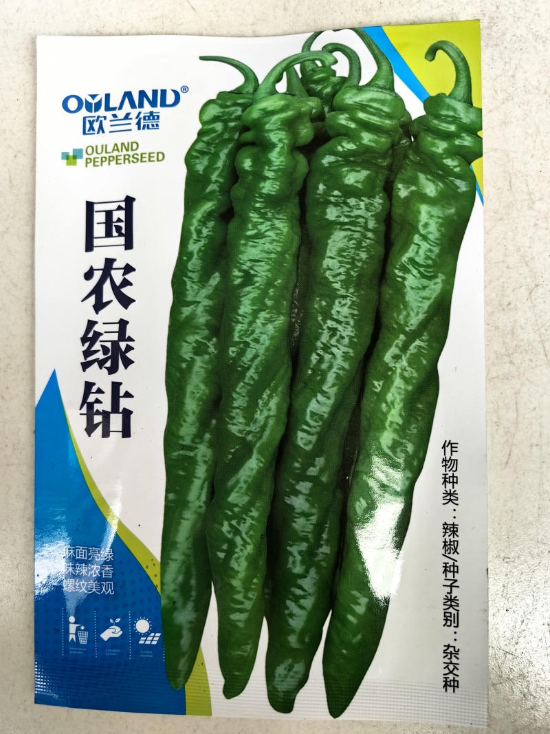 全螺麻面螺丝椒种子欧兰德特大薄皮肉厚顺直陇椒螺丝辣椒种子