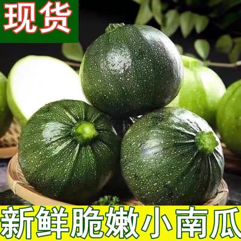 嫩南瓜小南瓜产地大量供应，价格不贵，欢迎订购。