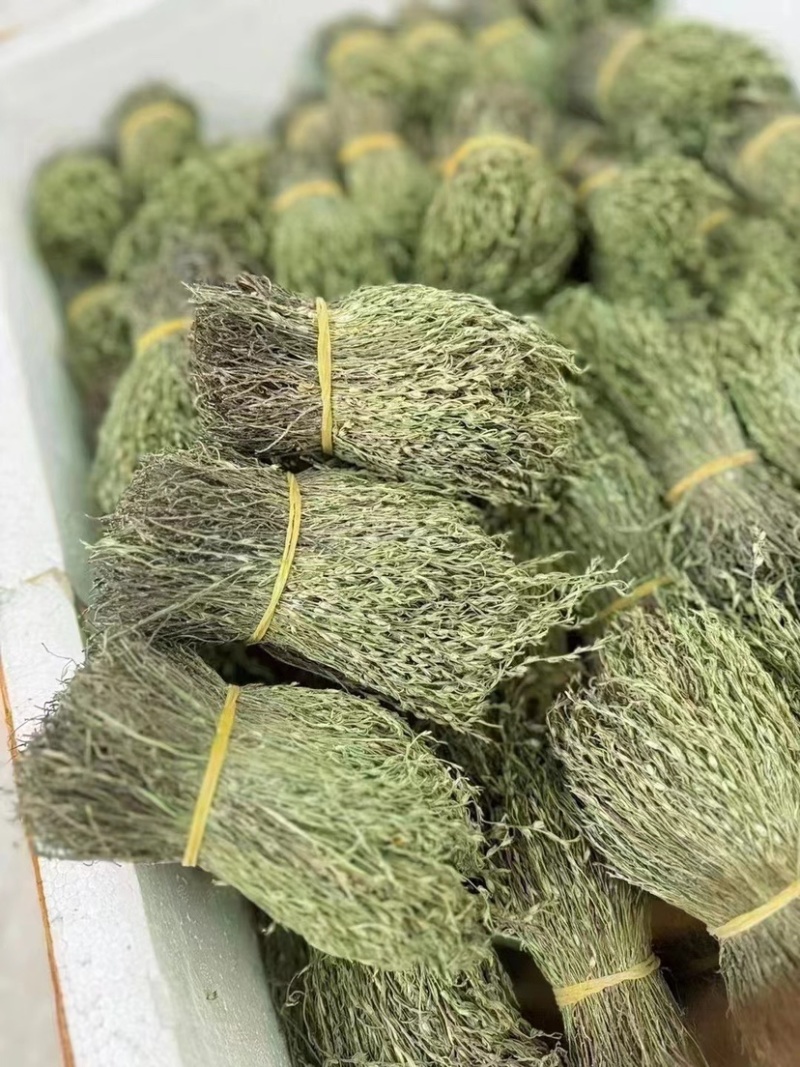 独脚金青绿野生A货短脚精品正宗广西产地批发价