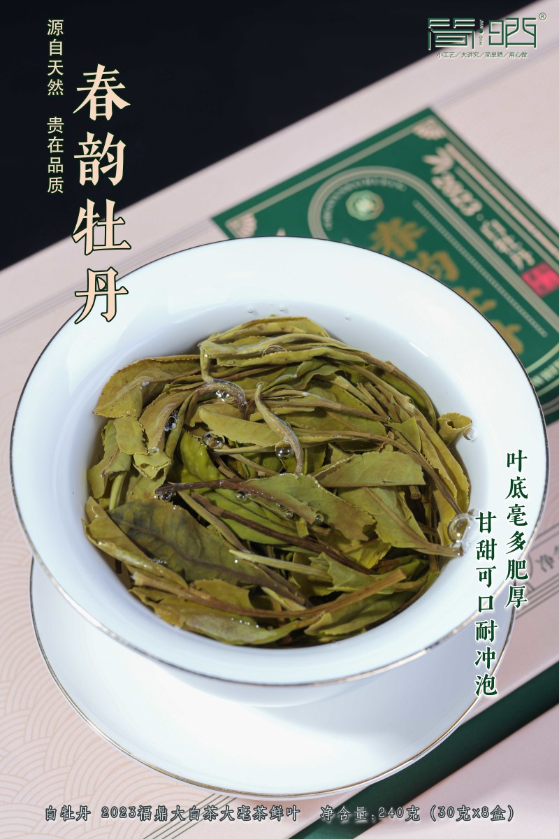 2023年福鼎白茶白牡丹礼盒新品供应一件12盒