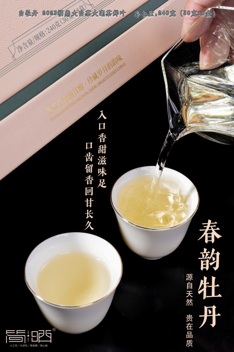 2023年福鼎白茶白牡丹礼盒新品供应一件12盒