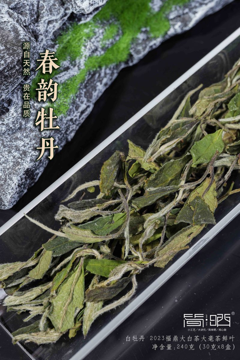 2023年福鼎白茶白牡丹礼盒新品供应一件12盒