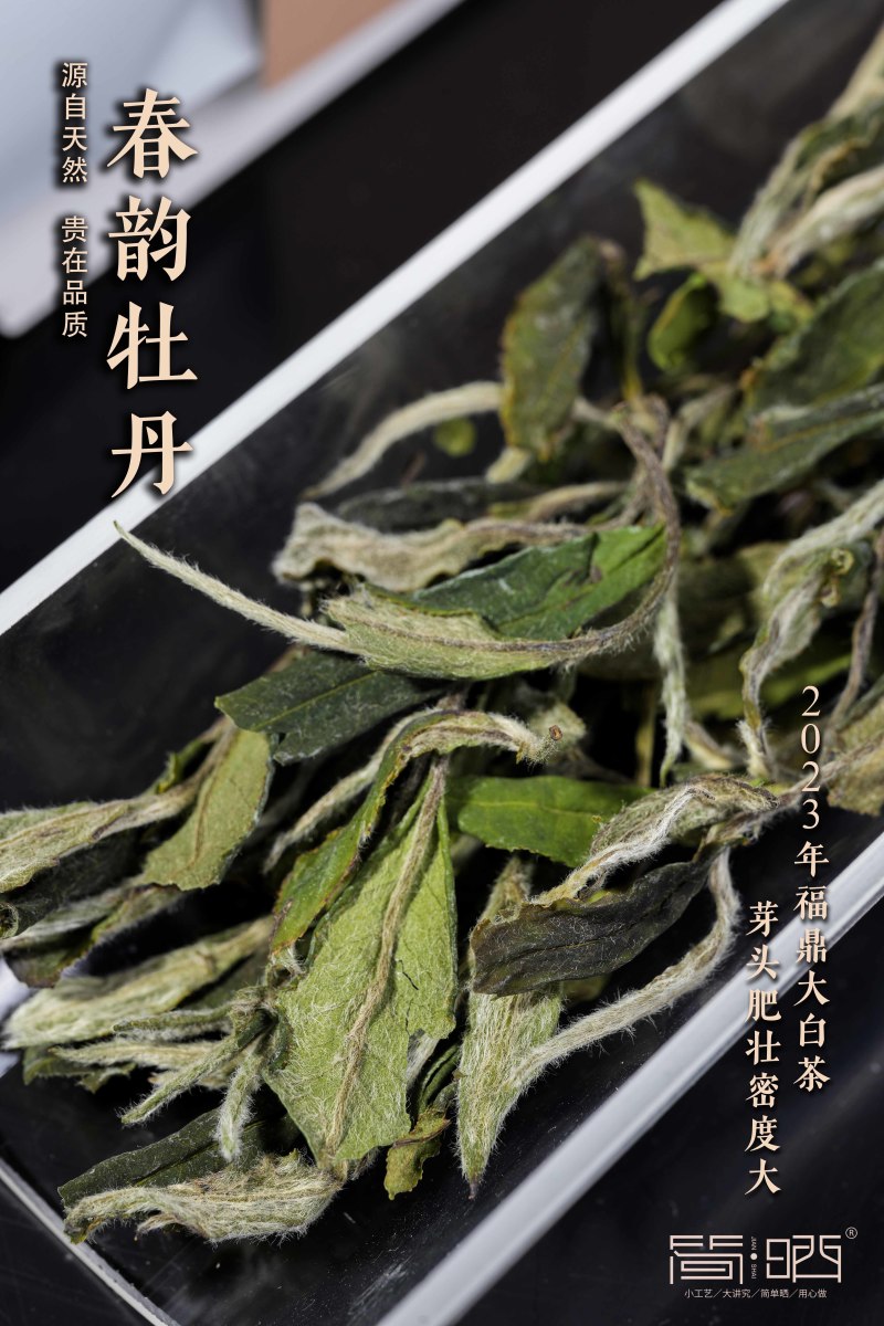 2023年福鼎白茶白牡丹礼盒新品供应一件12盒
