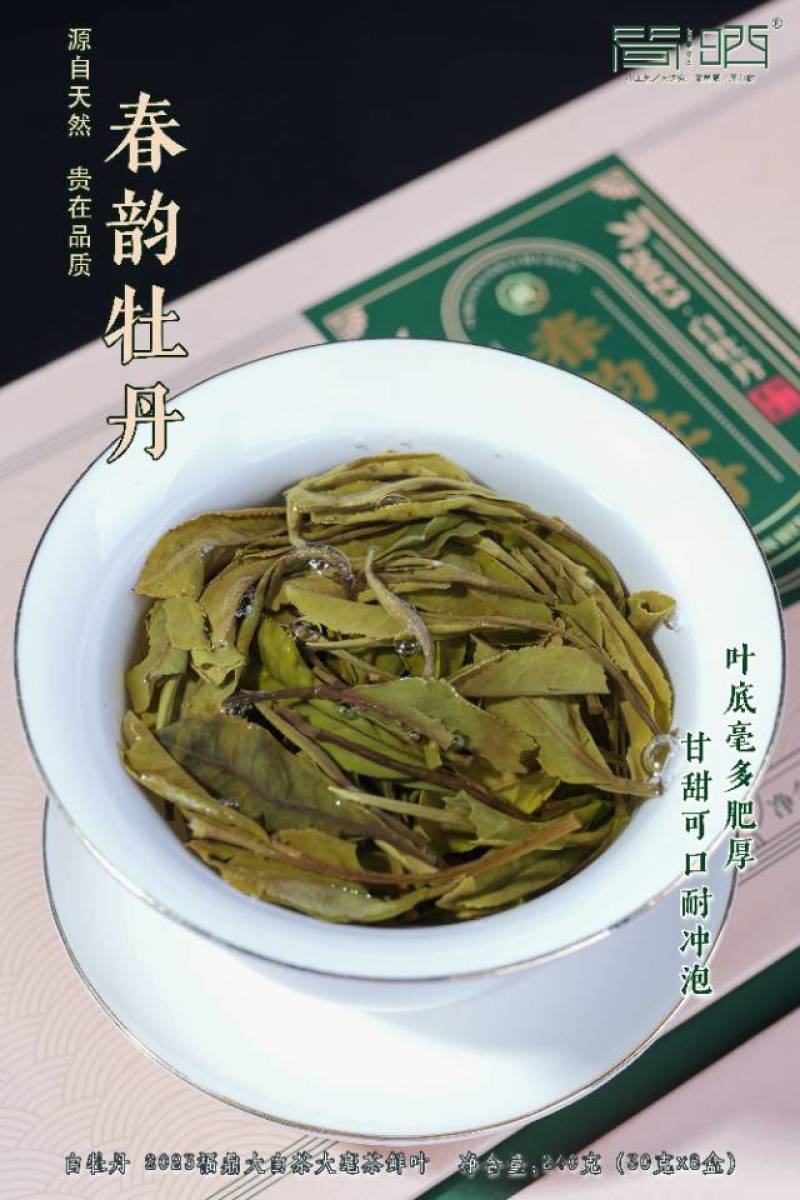 2023年福鼎白茶白牡丹礼盒新品供应一件12盒