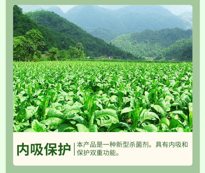 氯溴异氰尿酸