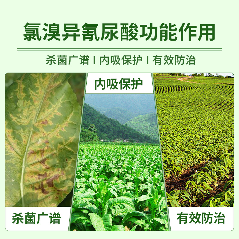 氯溴异氰尿酸
