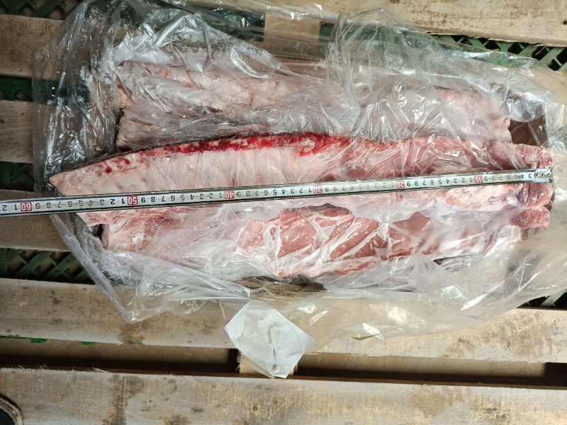 龙骨/脊骨，大肥猪，工厂直销，全国发货，品质好，