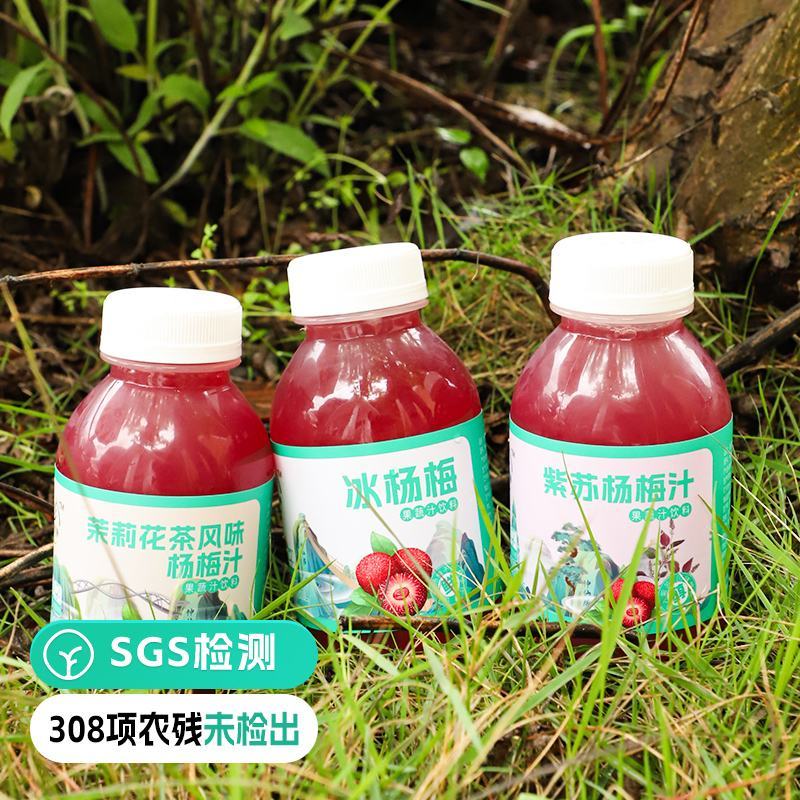 八珍良膳仙居杨梅汁鲜原榨果蔬饮料