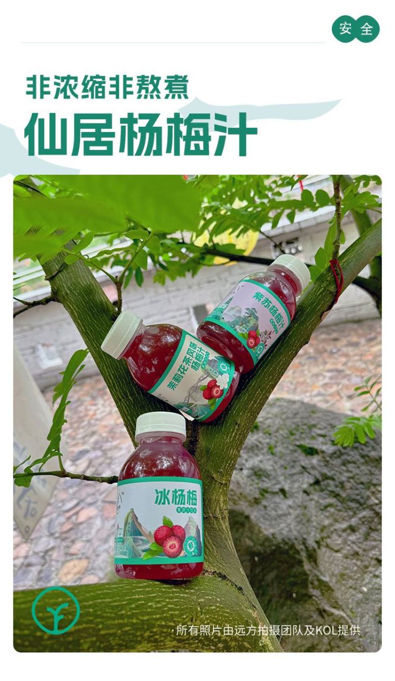 八珍良膳仙居杨梅汁鲜原榨果蔬饮料