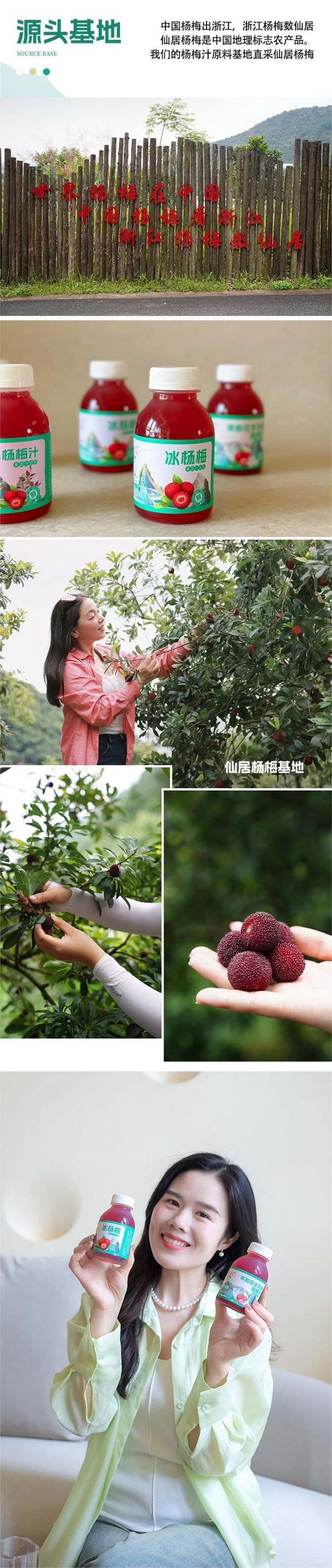 八珍良膳仙居杨梅汁鲜原榨果蔬饮料