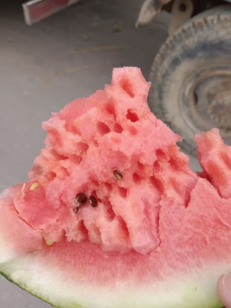 河南精品甜王，大量现货，产地实力代办，代收代发全国！！！