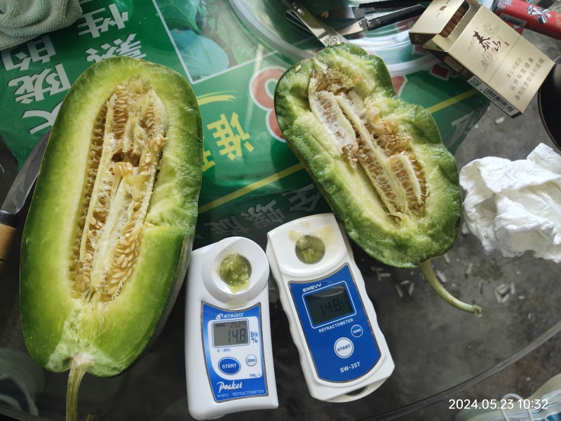 山东甜瓜昌乐青州星甜甜瓜星甜金冠大量上市价格合适质