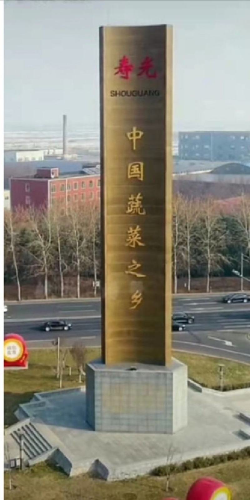 山东潍坊寿光直根羊角蜜甜瓜穴盘壮苗露天地爬吊秧管理都高产