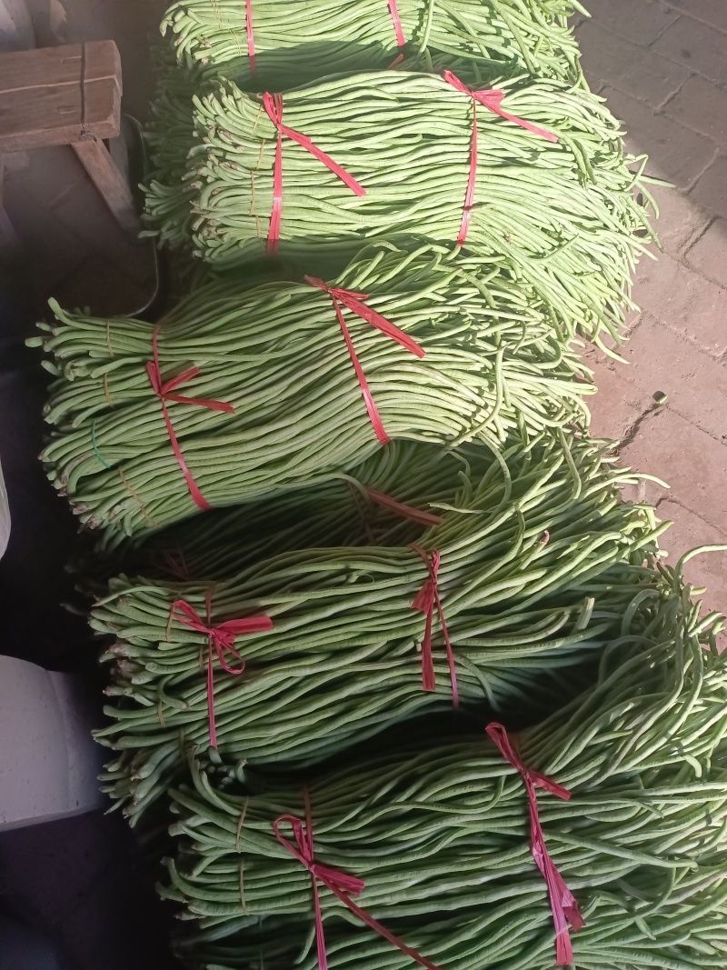 大棚绿长豇豆大量现货上市了