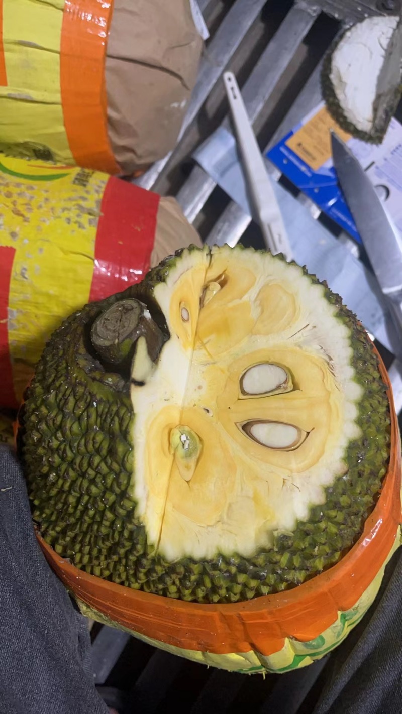 越南红肉菠萝蜜/一手货源/越南产地工厂/大量供应