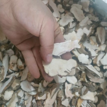 土茯苓干片！！野生土茯苓白肉粉质干片。一手货源质量保证！
