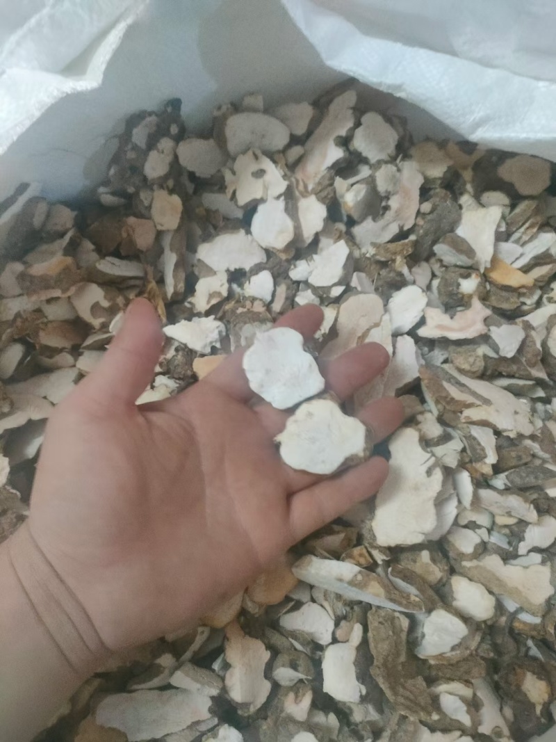 土茯苓干片！！野生土茯苓白肉粉质干片。一手货源质量保证！