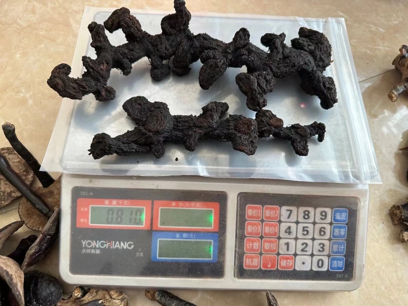 黄精！九蒸，九晒野生黄精，一手货源质量保证全国发货！！！