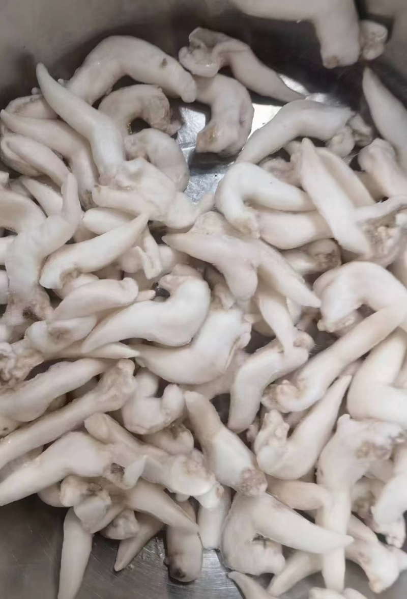 开背鸟贝肉，捞汁小海鲜