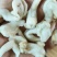 开背鸟贝肉，捞汁小海鲜