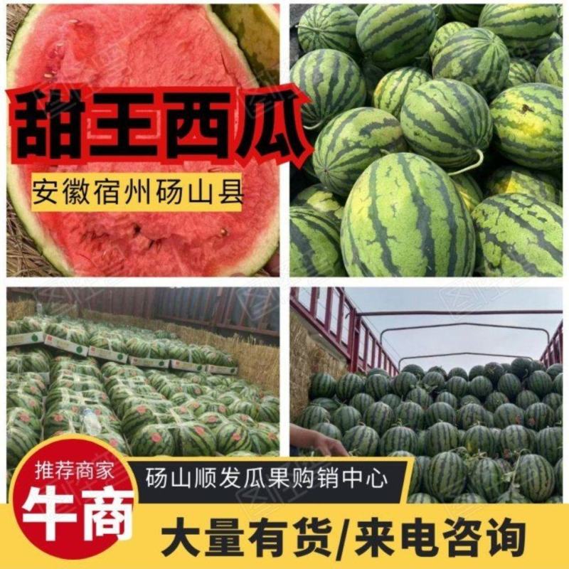 【甜王西瓜】安徽甜王西瓜大量上市中·保质保量规格齐全来电