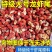 龙虾尾纯干冻无冰衣特大特级虾尾特大号龙虾尾新鲜活小龙虾