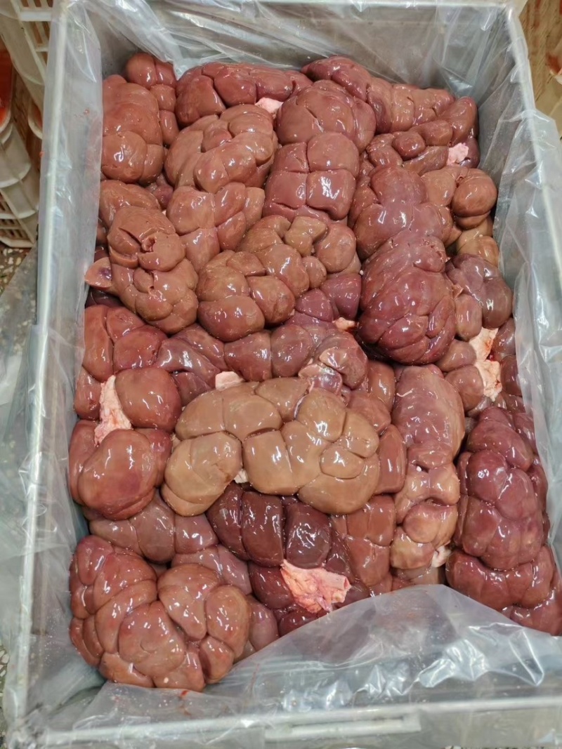 牛腰牛副产品长期供货代发全国市场保质保量欢迎采购