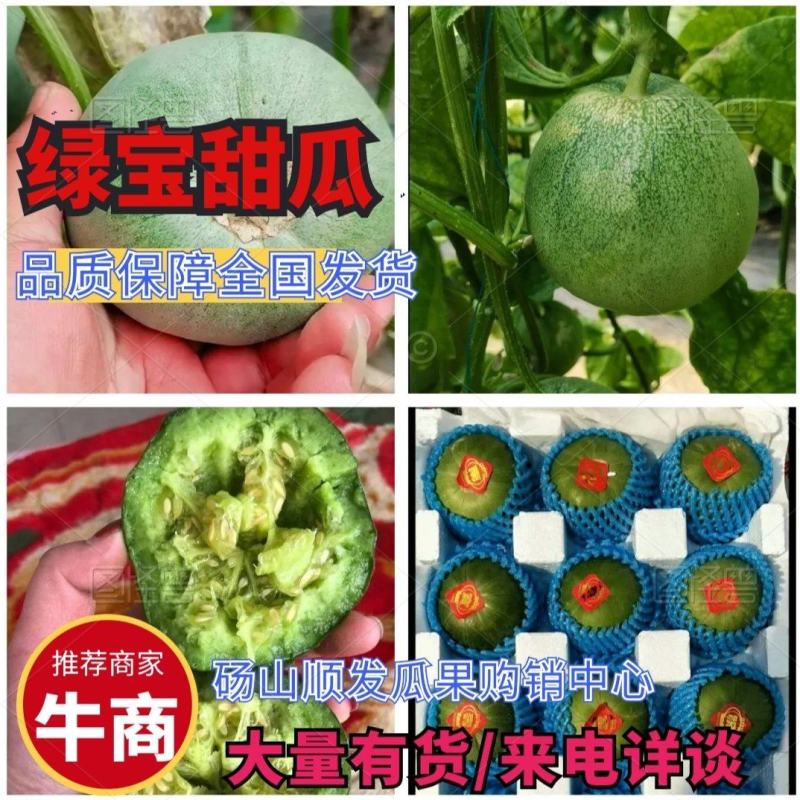 绿宝甜瓜·安徽砀山绿宝甜瓜大量上市中·全国发货来电