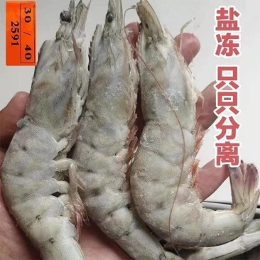 大虾对虾南美对虾大青虾无红头鲜度好一箱6件