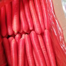 红胡萝卜规格齐颜色红口感清甜全国发货原产地货源