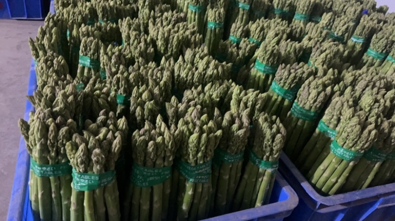 特价特价特价